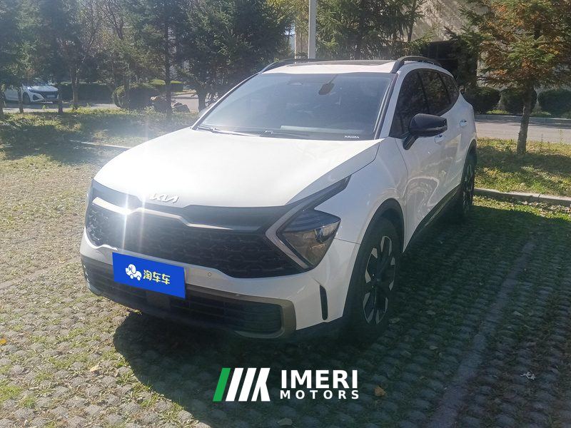 Kia Lion Platinum Tuojie 2.0T 2WDPremium Edition