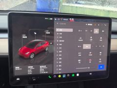 Tesla Model Y Facelift 545km Rear-Wheel Drive Edition - ფოტო 20