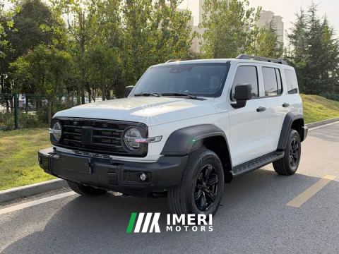 2024 Tank 300 2.0T Conqueror - ავტომობილი ჩინეთიდან