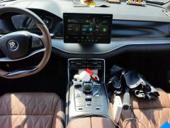 BYD Tang DM-i 1.5T 112KM Precursor Premium - photo 19