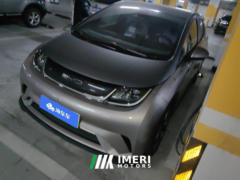 BYD Dolphin 401km Knight Edition - car from China