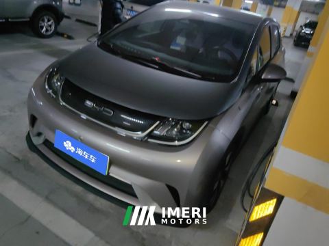 2021 BYD Dolphin 401km Knight Edition - ავტომობილი ჩინეთიდან