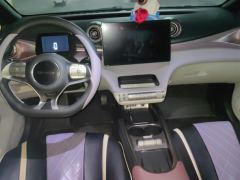 BYD Dolphin 401km Knight Edition - photo 16