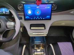 BYD Dolphin 401km Knight Edition - photo 19
