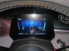 BYD Dolphin 401km Knight Edition - photo 20