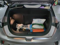 BYD Dolphin 401km Knight Edition - photo 7
