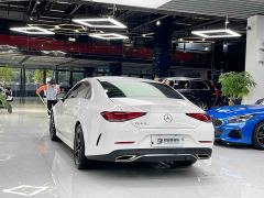 Mercedes-Benz CLS Facelift CLS 300 AMG Dynamic - фото 18