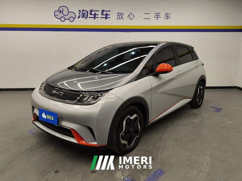 BYD Dolphin 405km Stylish Edition - car from China