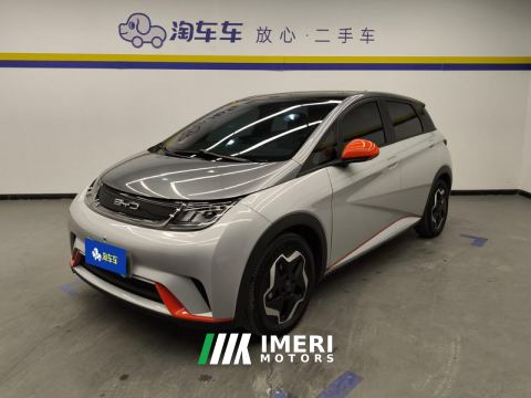 2021 BYD Dolphin 405km Stylish Edition - ავტომობილი ჩინეთიდან