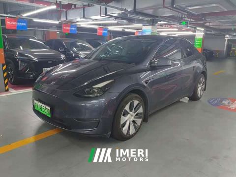 2021 Tesla Model Y Standard Range RWD - ავტომობილი ჩინეთიდან
