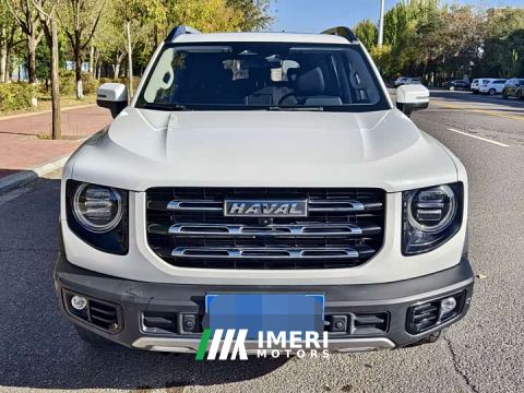 2022 Great Wall Dachshund 2.0T DCT Four-Wheel Drive Howling Celestial Dog Edition - автомобиль из Китая