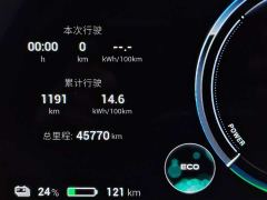 Aion Y Plus 510 Smart Leader Edition - фото 15