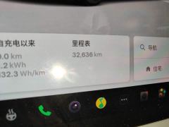 Tesla Model 3 Rear-Wheel Drive - ფოტო 8