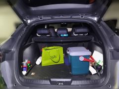 BYD Song PLUS DM-i 1.5L 2WD Flagship PLUS - ფოტო 15