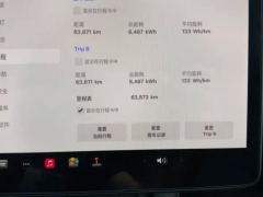 Tesla Model Y 545km Rear-Wheel Drive Edition - ფოტო 20