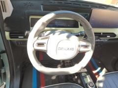 Geely Galaxy Panda mini 200km Endurance Bear - ფოტო 18