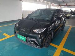 BYD Seagull Vitality Edition - фото 1