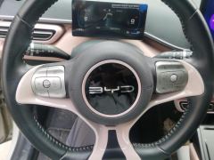 BYD Seagull Honor Edition 305km Free Version - ფოტო 18