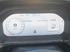 Tank 400 2.0T Standard Edition Gasoline - фото 20