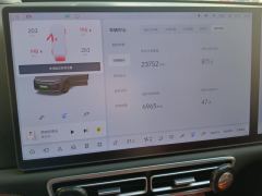 Li Auto L6 Pro - ფოტო 20