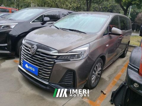 2023 Buick GL8 Facelift Land Business Class 2.0T Luxury Edition 7-seater - ავტომობილი ჩინეთიდან