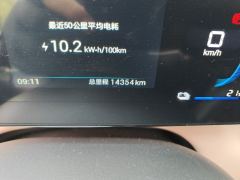 BYD Seagull Honor Edition 405km Flying Edition - фото 8