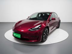 Tesla Model 3 556km Rear-Wheel Drive Edition - фото 1