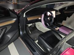 Tesla Model 3 556km Rear-Wheel Drive Edition - фото 17