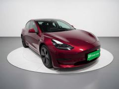 Tesla Model 3 556km Rear-Wheel Drive Edition - фото 3