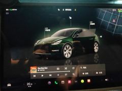 Tesla Model Y Facelift 545km Rear-Wheel Drive Edition - ფოტო 20