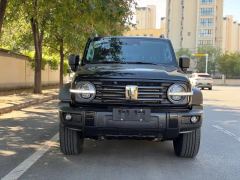 Tank 300 2.0T Conquistador Gasoline - ფოტო 1