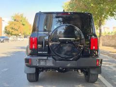 Tank 300 2.0T Conquistador Gasoline - ფოტო 13