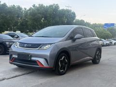 BYD Dolphin 405km Free Version - ფოტო 1