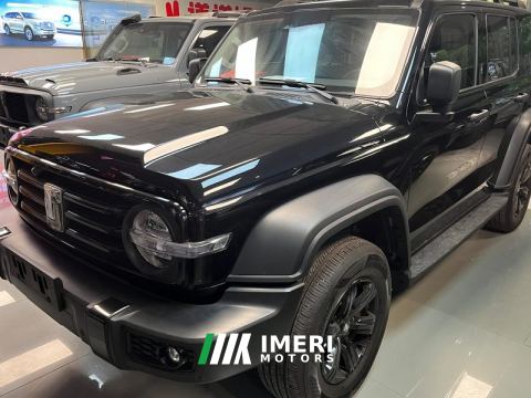 2021 Tank 300 Off-Road Edition 2.0T Conqueror - ავტომობილი ჩინეთიდან