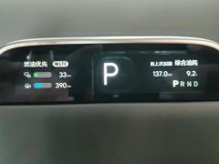 Li Auto Li L8 Pro - фото 20