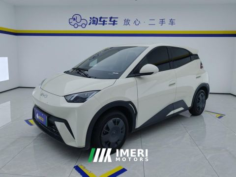 2025 BYD Seagull 305km Vitality Edition - ავტომობილი ჩინეთიდან