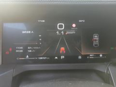 Tank 300 Off-Road Edition 2.0T Conqueror - ფოტო 20