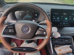 BYD Tang DM-i 1.5T 112KM Precursor Premium - photo 16