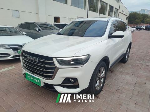 2021 Haval H6 Guochao Edition 1.5T 2WD Champion Edition