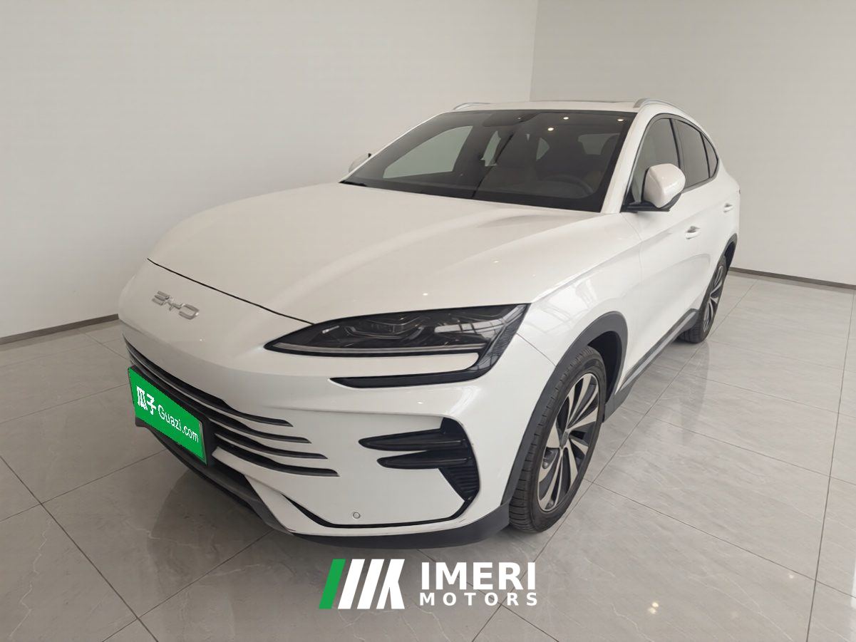 BYD Song PLUS DM-i Champion Edition 1.5L 110km Flagship