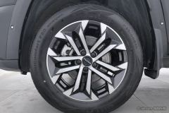 Haval Dargo Big Dog PLUS 2.0T Four-wheel drive off-road version Plus - ფოტო 6