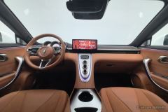 Ora Lightning Cat 555km Premium Edition - ფოტო 14