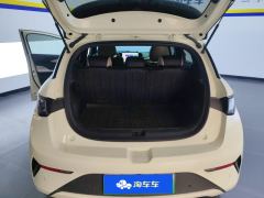 BYD Dolphin Smart Driving Edition 410km Stylish Edition - photo 7