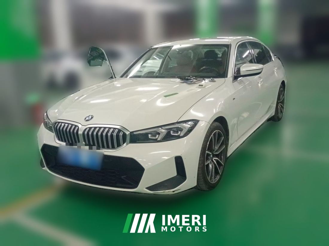 BMW 3 Series 320Li M Sport Package - car from China