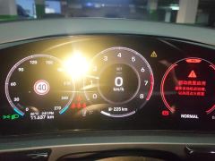 Porsche Cayenne 3.0T Dream Chaser Edition - ფოტო 20