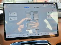 Geely Boyue L 4th Gen 1.5T Blue Light Edition - ფოტო 16