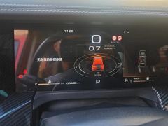 Tank 300 Off-Road Edition 2.0T Challenger - photo 20