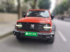 Tank 300 Off-Road Edition 2.0T Conqueror - ფოტო 2
