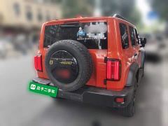 Tank 300 Off-Road Edition 2.0T Conqueror - ფოტო 5