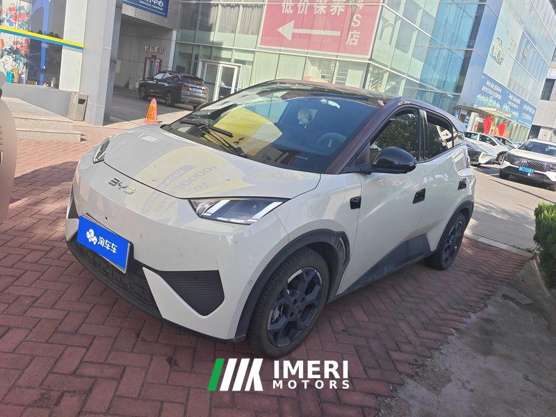 BYD Seagull Smart Driving Edition 305km Free Version